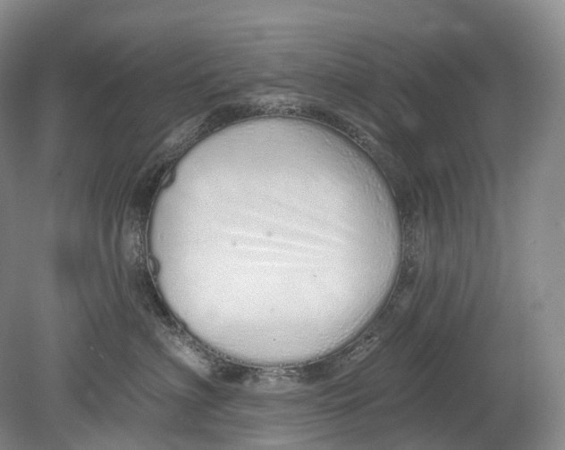 X0000078830622200612041815