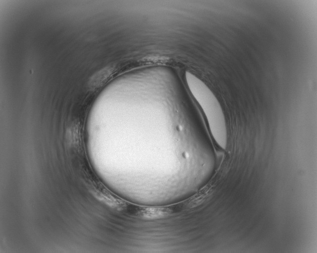 X0000078830623200612041815