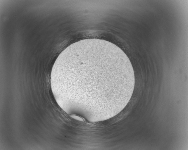 X0000078830624200612041815