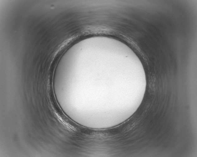 X0000078830629200612041814