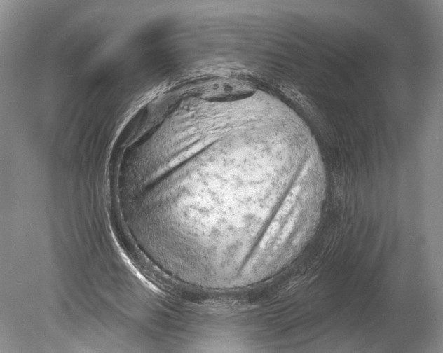 X0000078830630200612041814