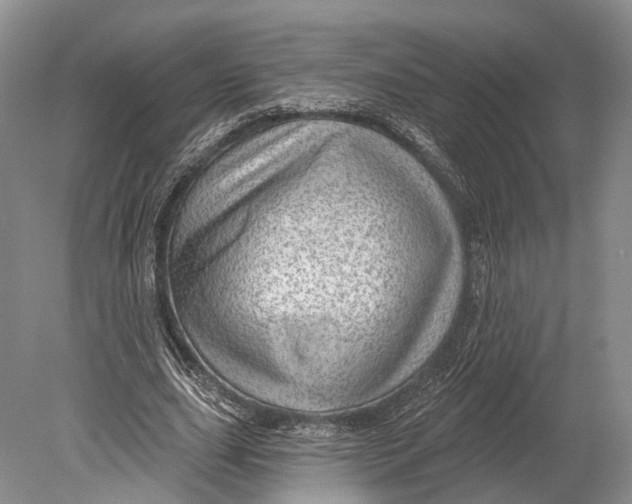 X0000078830631200612041814