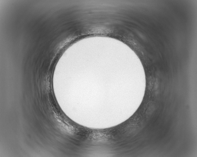 X0000078830632200612041814