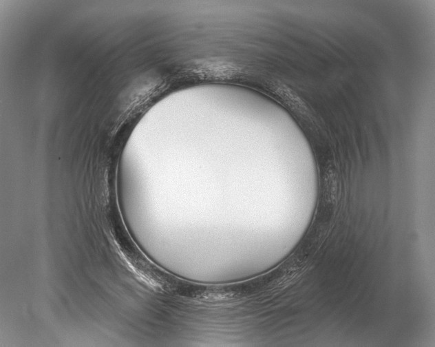 X0000078830638200612041814