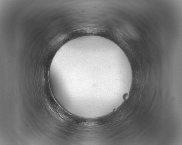 X0000078830639200612041814