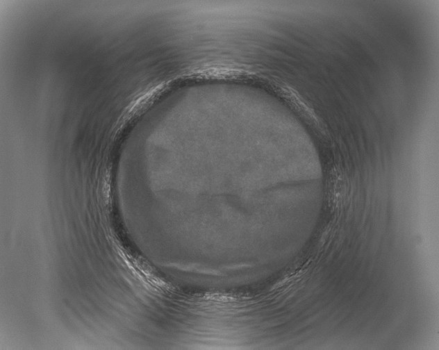 X0000078830640200612041814