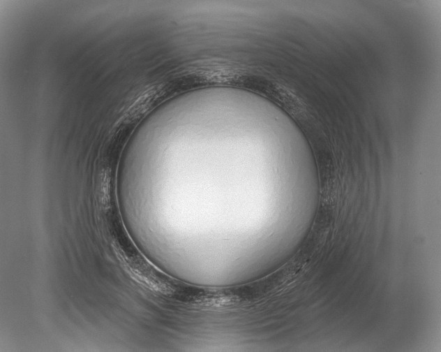 X0000078830646200612041814