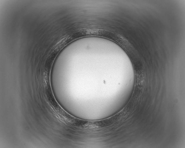 X0000078830648200612041814