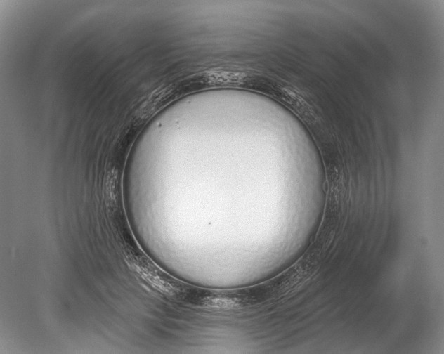 X0000078830649200612041814