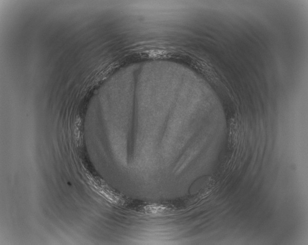 X0000078830650200612041814