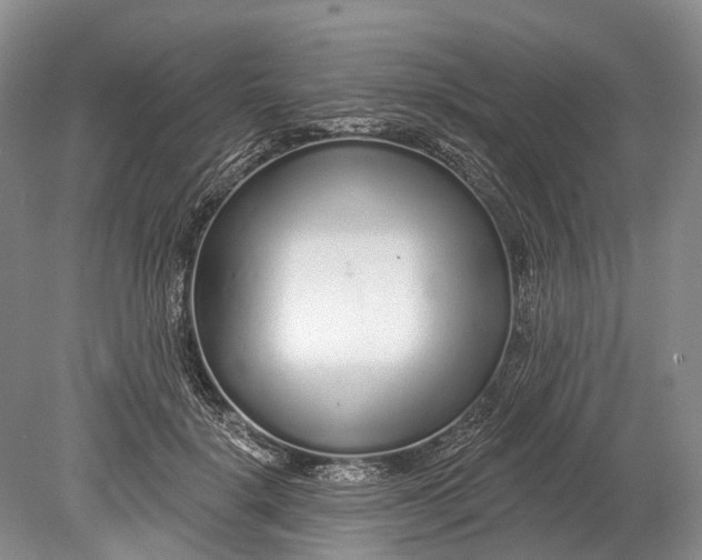 X0000078830652200612041814