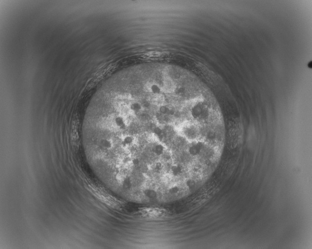 X0000078830654200612041814