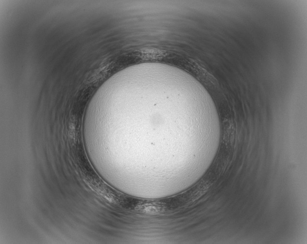 X0000078830655200612041814