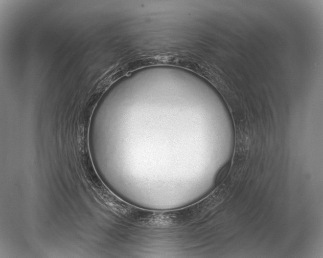 X0000078830656200612041814