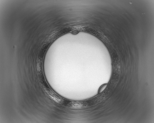 X0000078830658200612041814