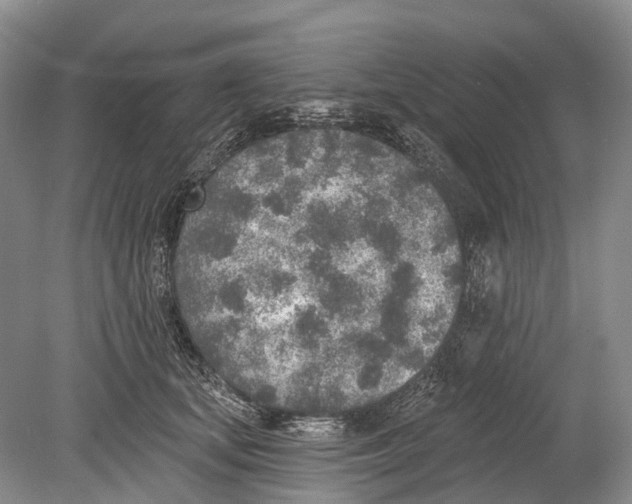 X0000078830659200612041814