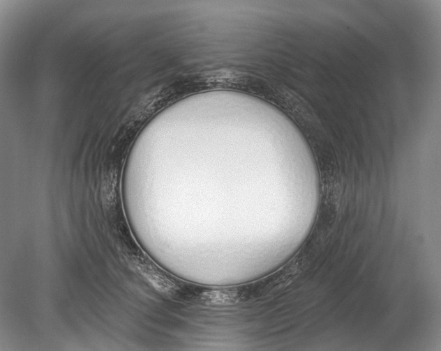 X0000078830660200612041814