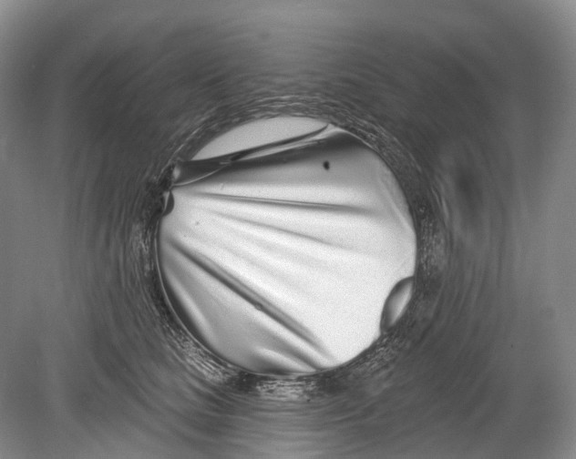 X0000078830661200612041814