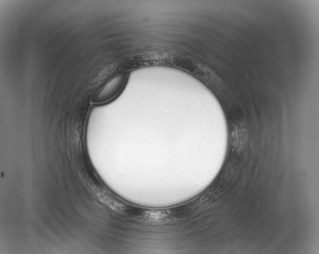 X0000078830662200612041814