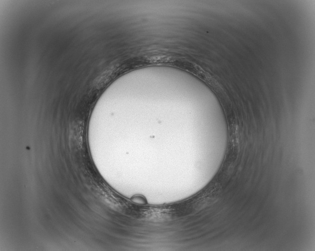 X0000078830664200612041815