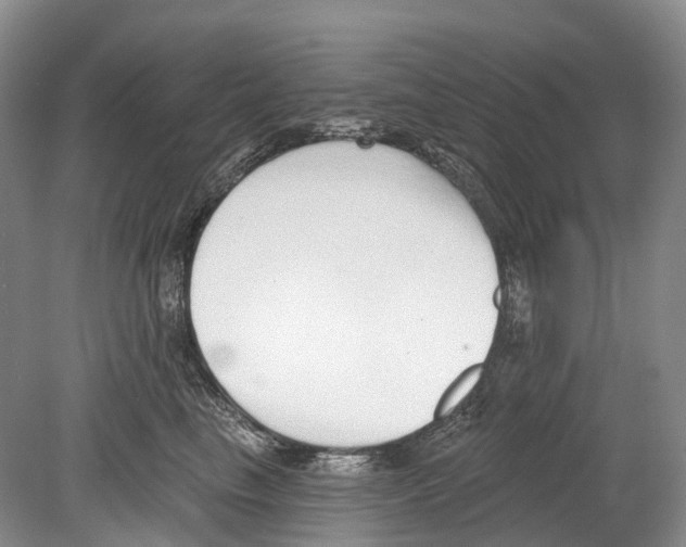 X0000078830665200612041815