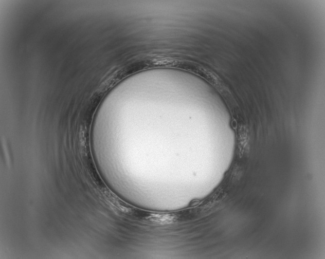 X0000078830667200612041815