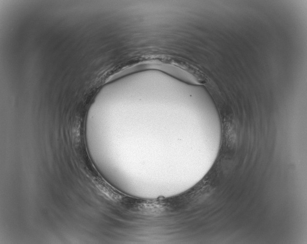 X0000078830668200612041815