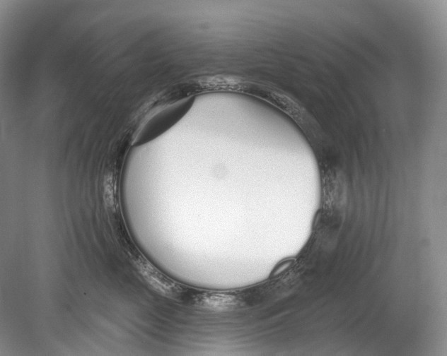 X0000078830669200612041815