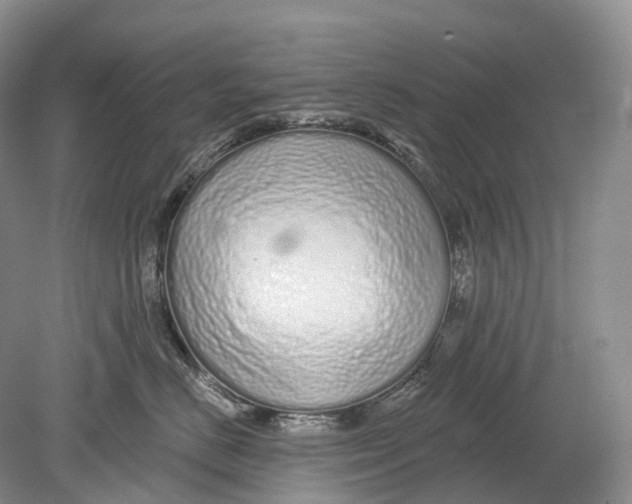 X0000078830670200612041815