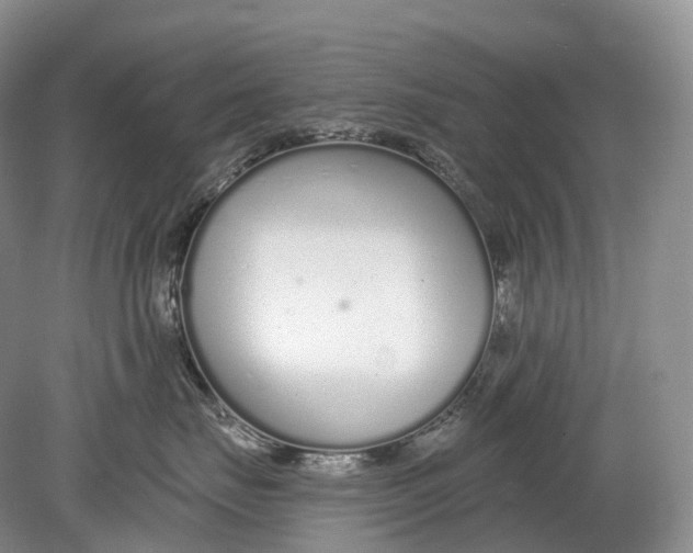 X0000078830671200612041815