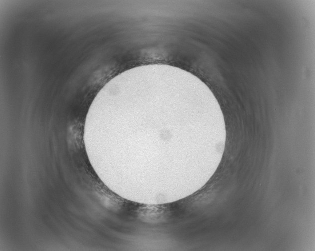 X0000078830672200612041815