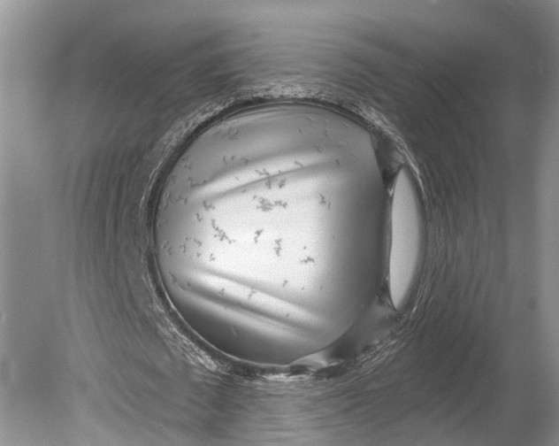 X0000078830673200612041814