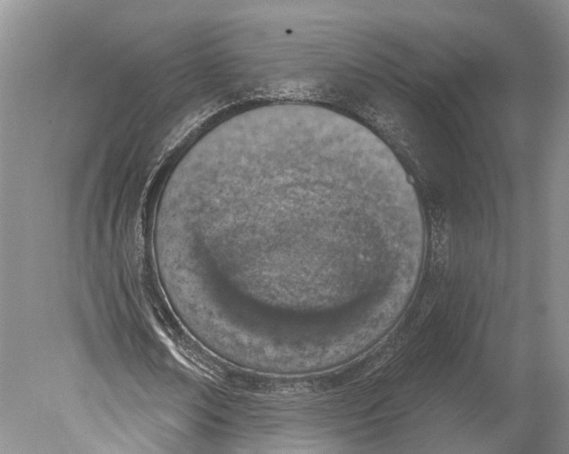 X0000078830674200612041814