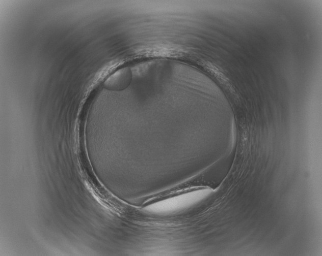 X0000078830678200612041814