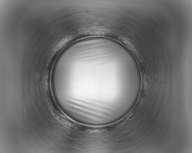 X0000078830679200612041814