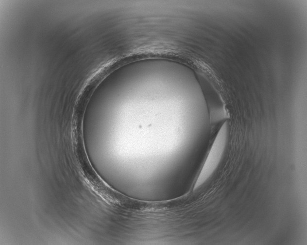 X0000078830680200612041814