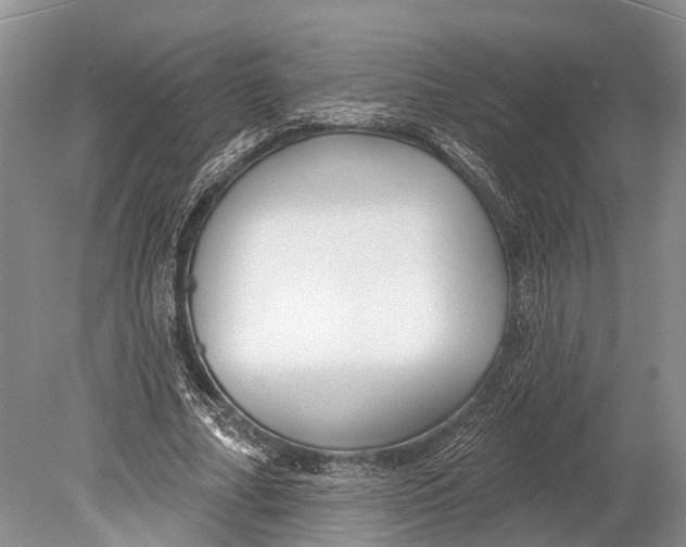 X0000078830682200612041814