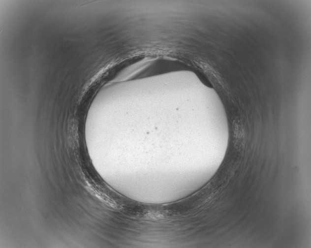 X0000078830684200612041814