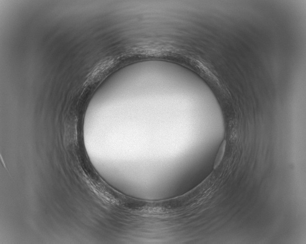 X0000078830685200612041814