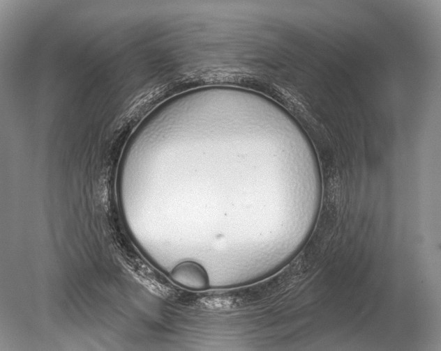 X0000078830687200612041814