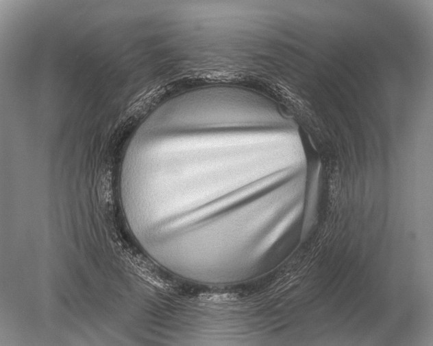 X0000078830689200612041814