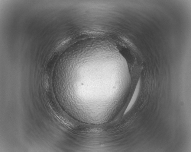 X0000078830692200612041813