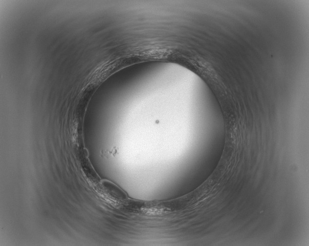 X0000078830693200612041813