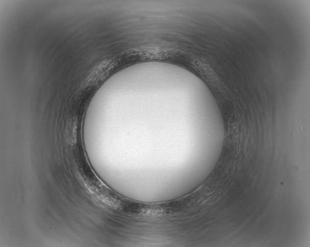 X0000078830694200612041813