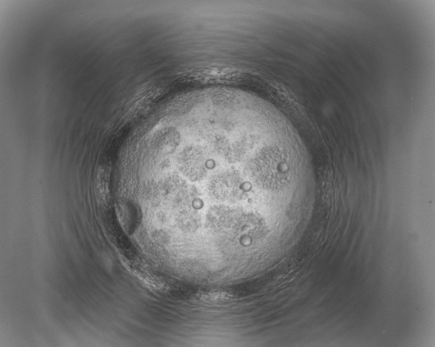 X0000078830695200612041813