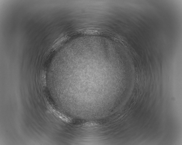 X0000078830696200612041813