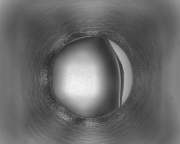 X0000078830697200612041813