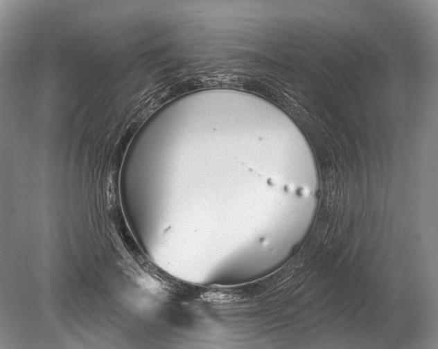 X0000078830699200612041813