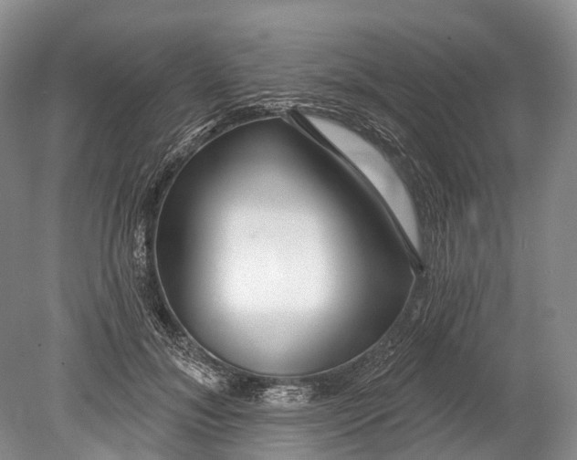 X0000078830700200612041813