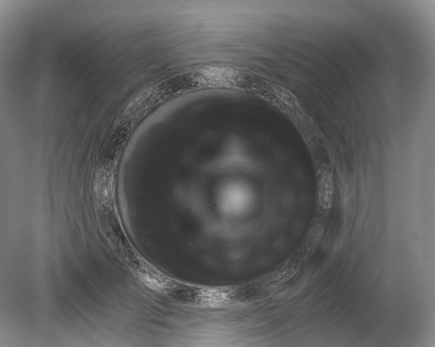 X0000078830701200612041813